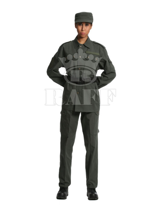 Military Supplies -1815